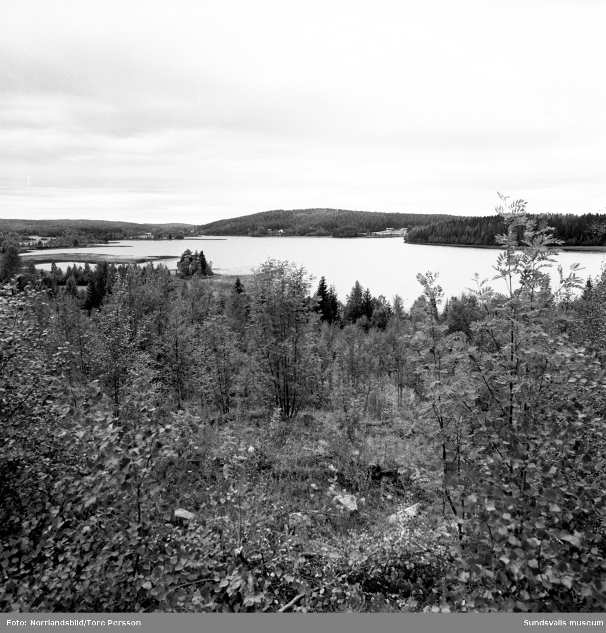 Sjön Norrbjörken i Njurunda.