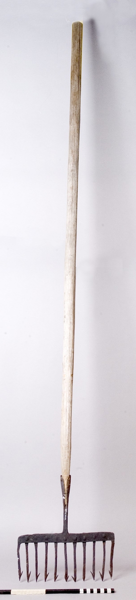 Ljuster, handsmitt av järn. Det har elva spetsar, fastsatta på en tvärgående balk. Tio av spetsarna har en nedåtriktad hulling. Tvärbalken är på mitten smidd till en holk för montering på ett träskaft. Skaft av trä.
