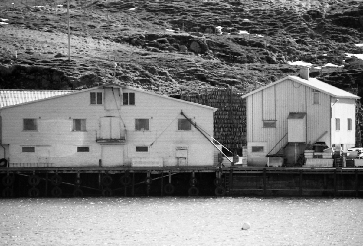 Edvard C. Pedersens fiskebruk på Stø i Øksnes 1973