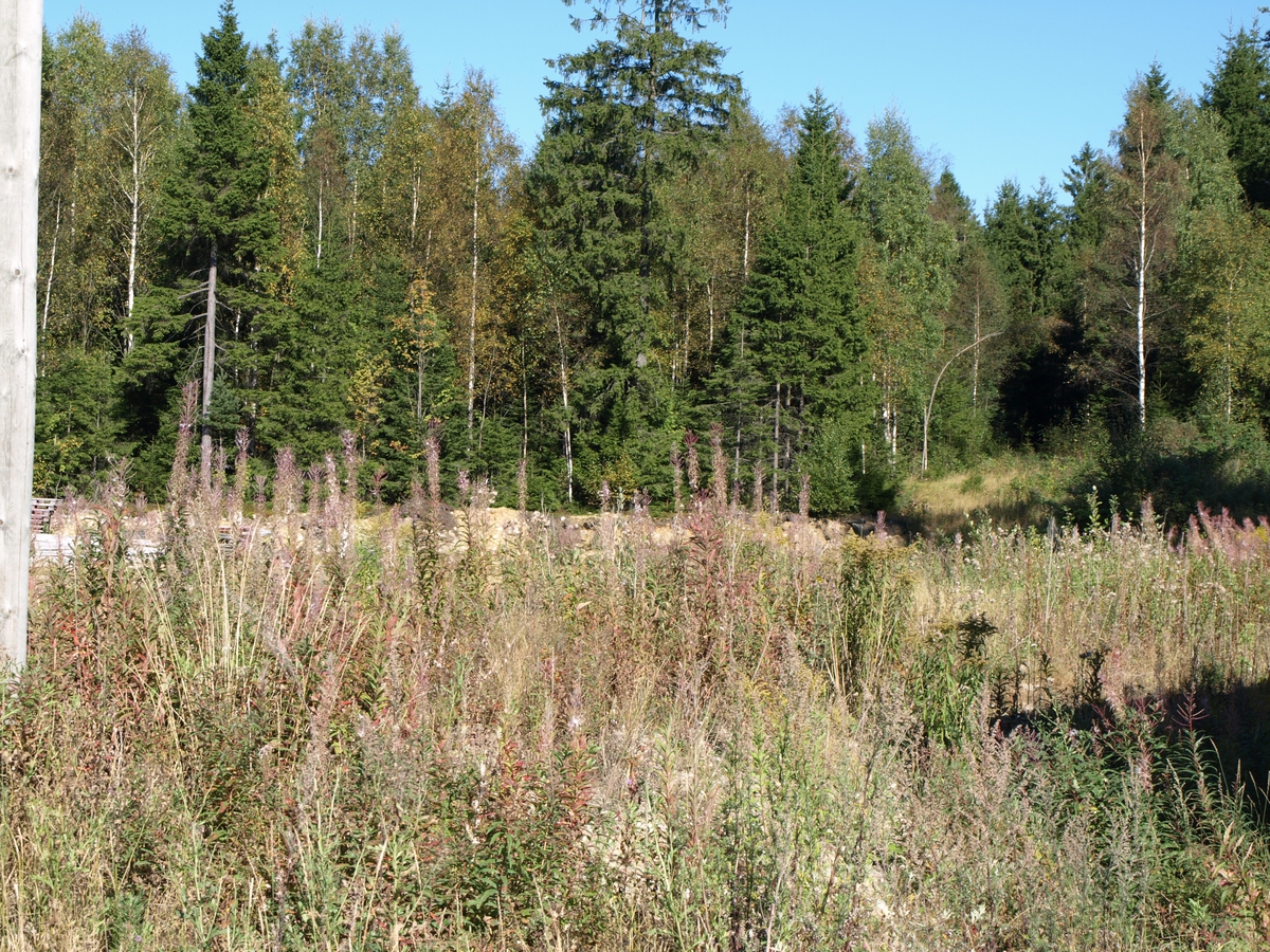 Bak sletta er fortsatt en skråning med skog. Foto: Bodil Andersson, Østfoldmuseene/Halden historiske Samlinger.