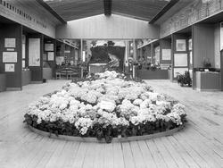 utstilling, Øtsfoldutstillingen, blomsterdekorasjon, oversik