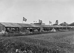 utstilling, Østfoldutstillingen, eksteriør, , biler,Østfold