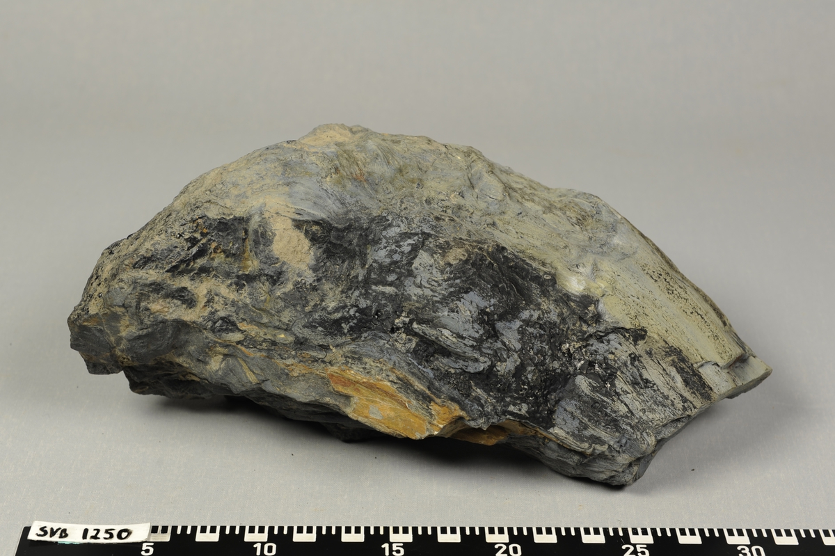 Sylindrisk stein med fiberstruktur i lengderetningen. Plantefossil (forsteinet) av tre.
