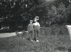 Holmeegenes, div. snapshots tatt på Holmeegenes.