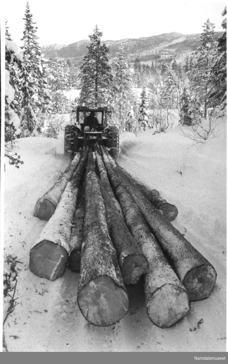 Skogsdrift. Tømmertransport med traktor.