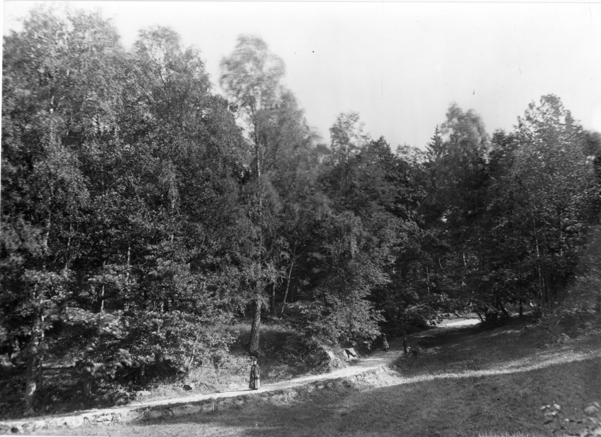 Tre personer spaserer på veien inn til Berg gård. Ca. 1885 -1890. Tante Jette står trolig midt på bildet.