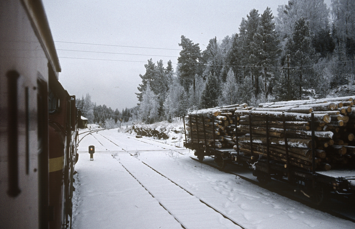 Fall stasjon på Valdresbanen sett fra togvinduet. Lastede tømmervogner egnet for Valdresbanens lave aksellast står på sidesporet.