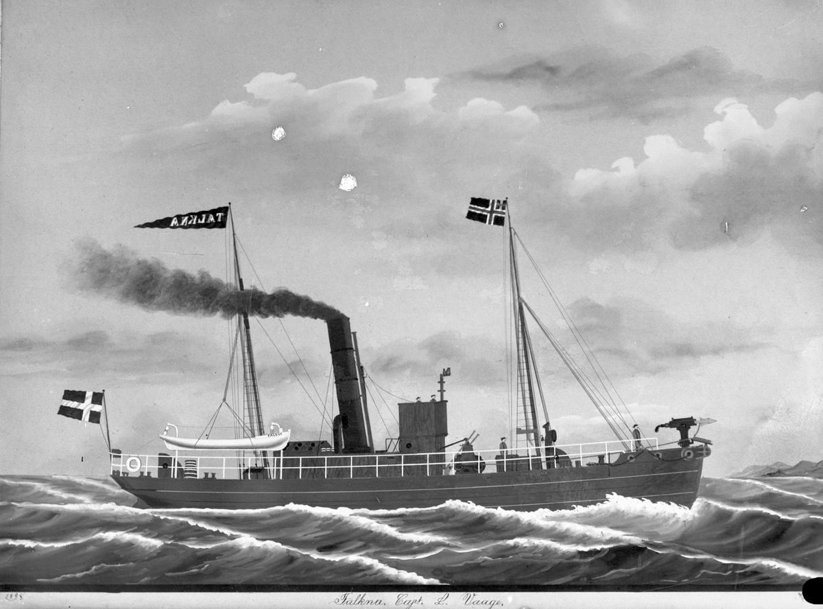 Avfotografert maleri av dampskipet D/S "Talkna" ute på hvalfangst.