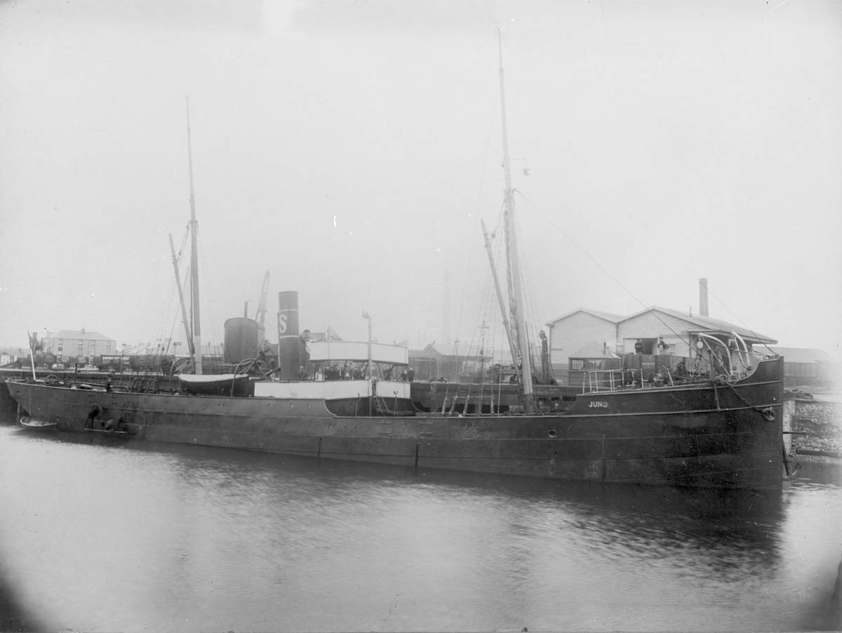 Dampskipet D/S "Juno" ved kai. Mannskapet står på broen. På kaien står to menn og to gutter. "Juno" var rederiet B.Stolt-Nielsens første rene fraktdamper.