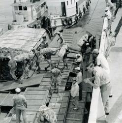 M/S 'Balao' (b.1952, Drammen Slip & Verksted, Drammen), - st