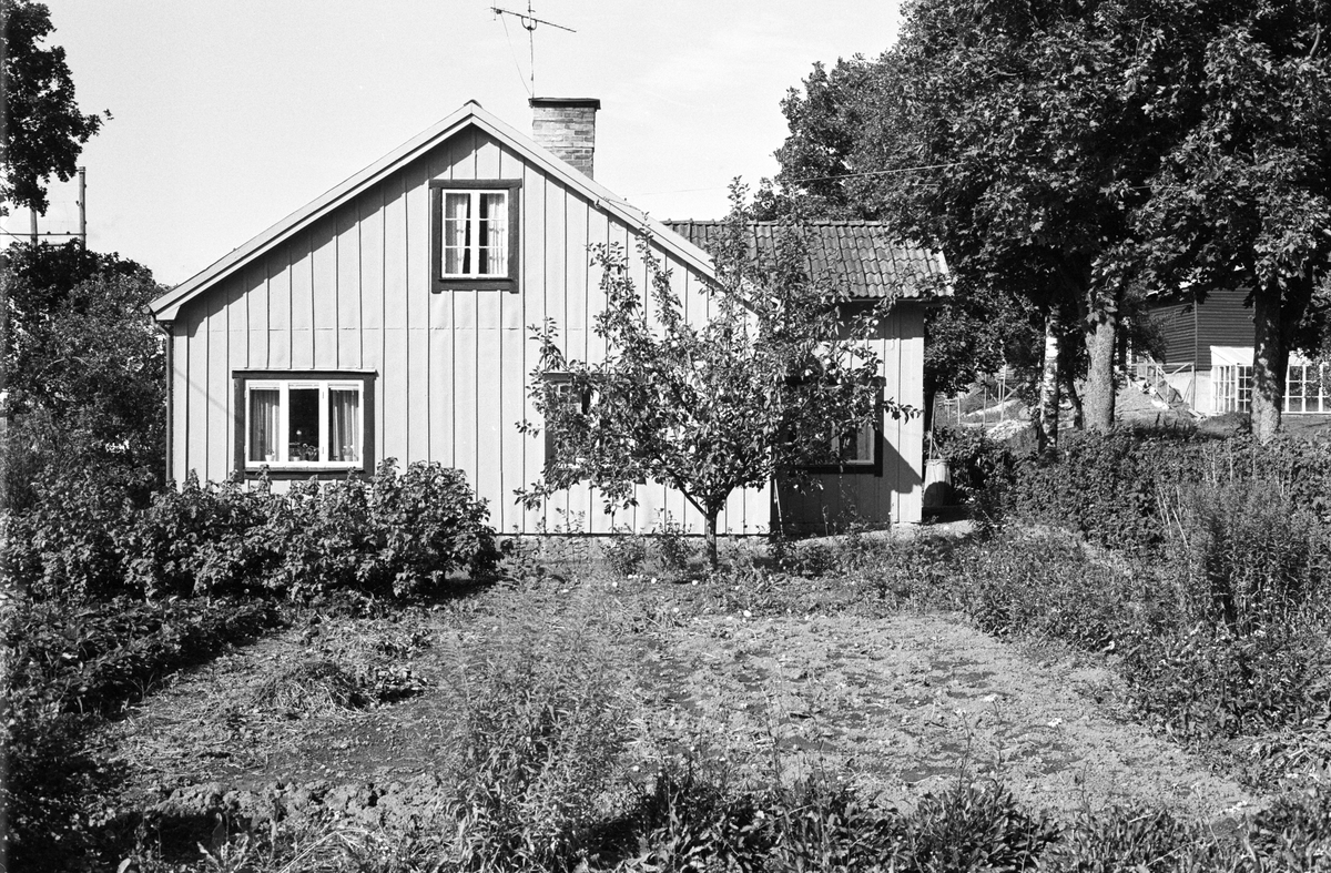 Bostadshus, Tibble 7:4, Tibble, Rasbokils socken, Uppland 1982