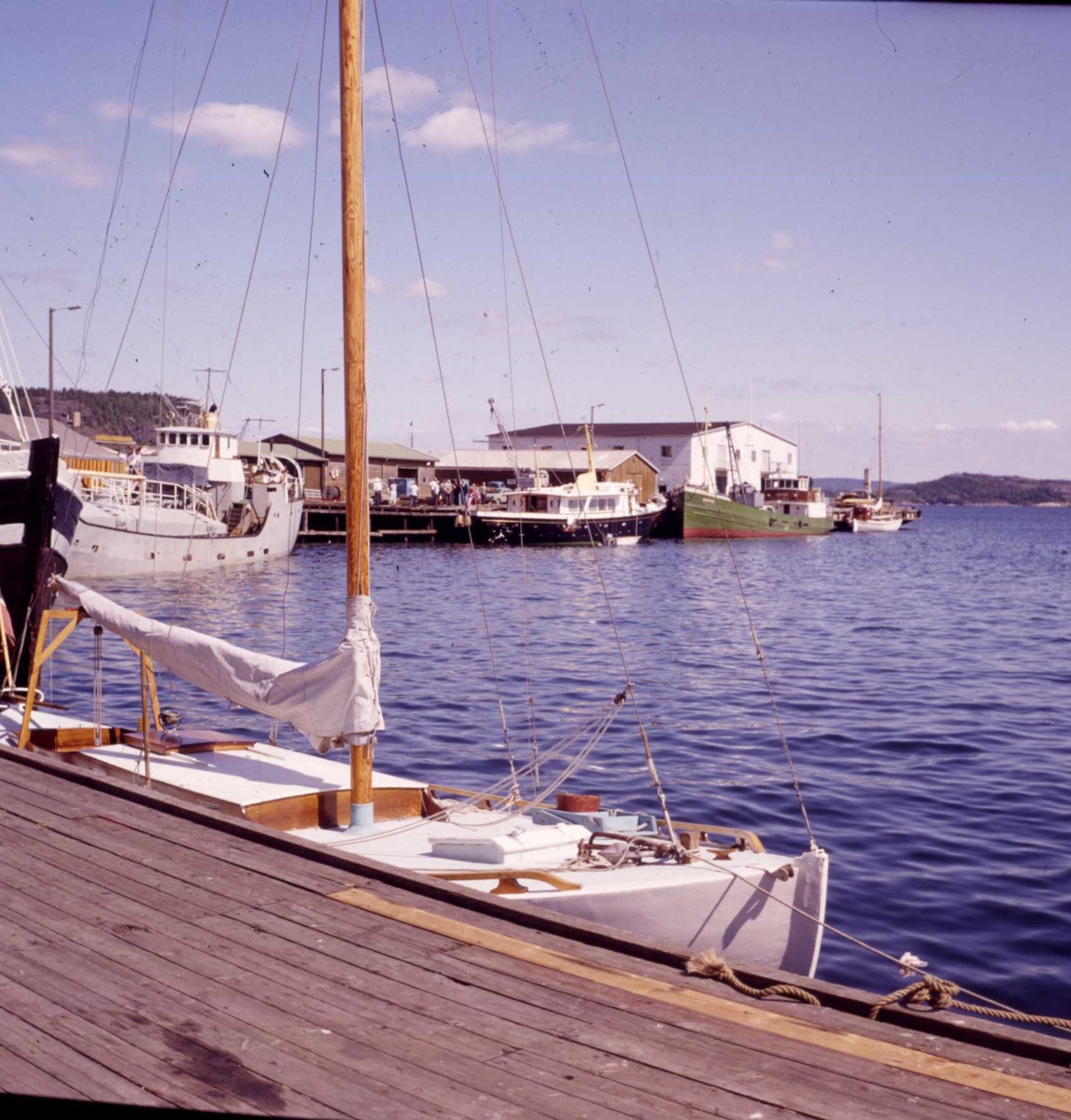 Fiskebrygga mot Felleskjøpet., ca. 1960