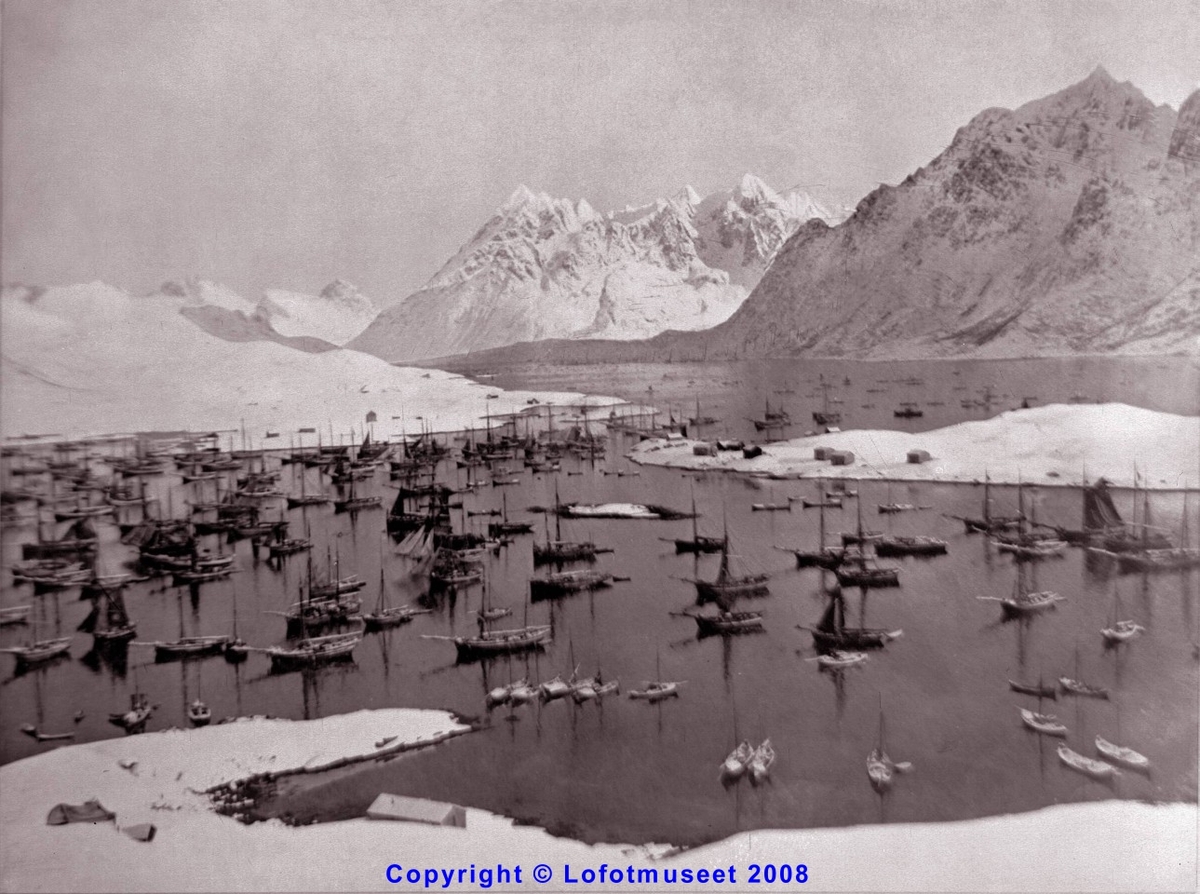 Repro Lofotfiske i Vaterfjorden ca 1890.