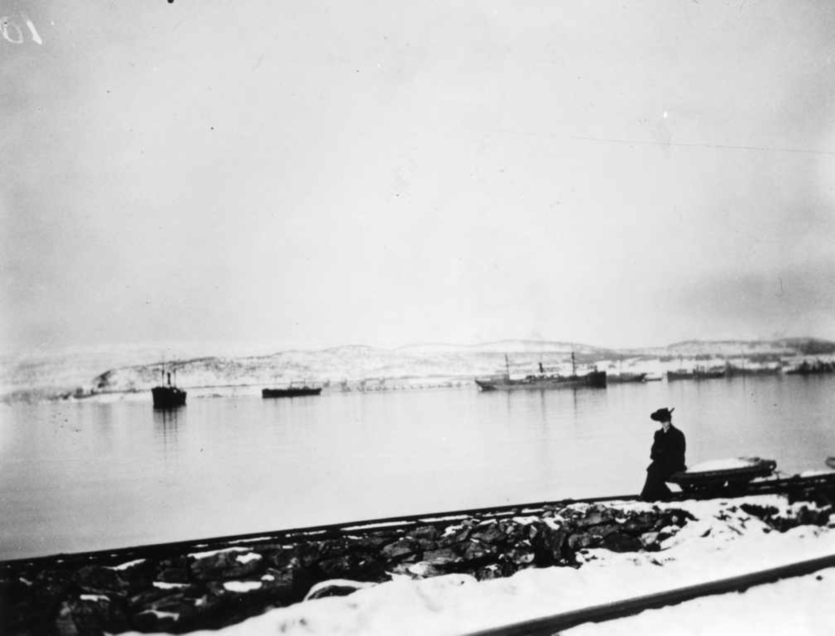 Havna med malmbåter og malmkaia, Fru Qvale. Narvik