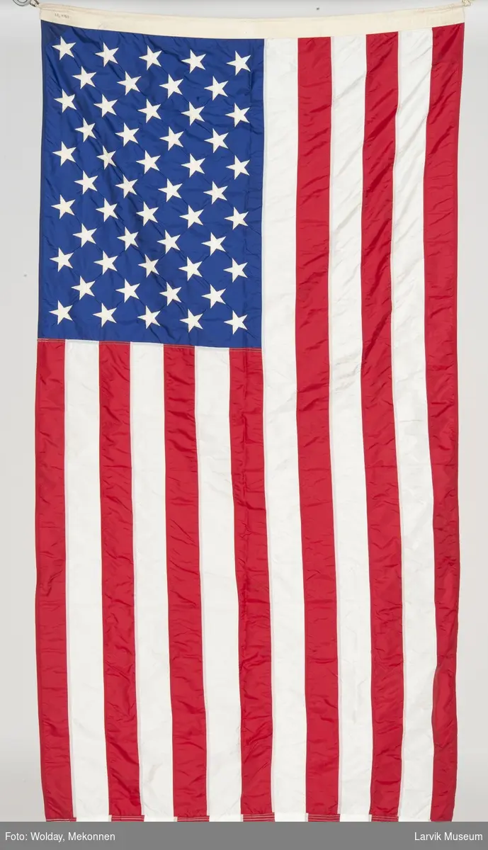 USA's nasjonalflagg m. line