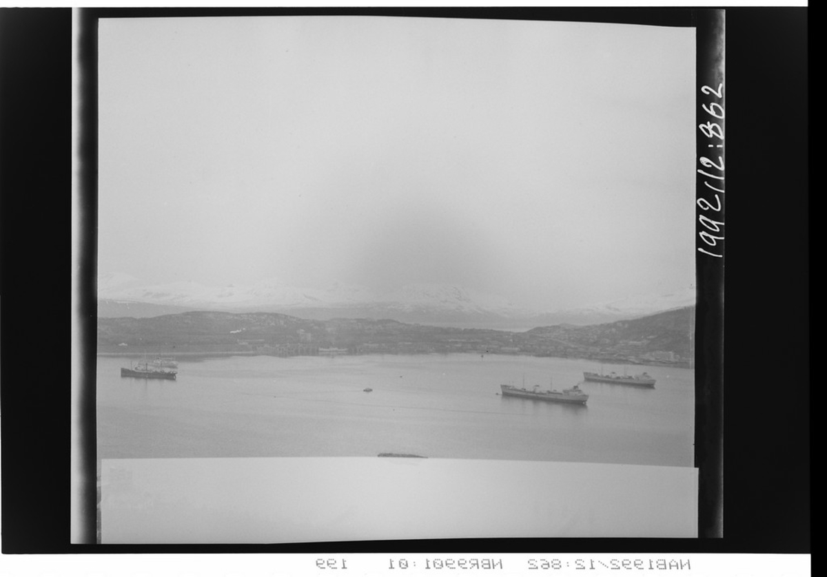Lasteskip ligger på Narvik havn. Bildet tatt fra Ankenesfjellet.