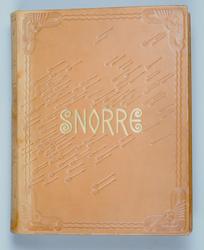 Snorres kongesagaer [Bok]