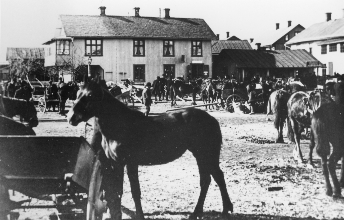Torget i Mellerud. H&auml;sttransporter.