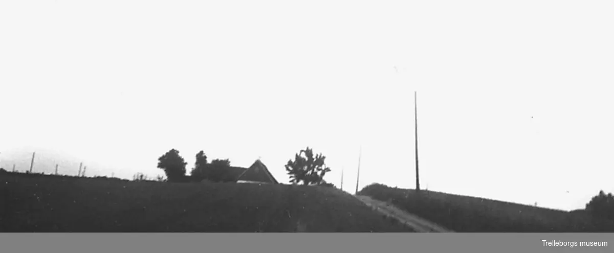 En bild av ättehögen på nummer 1 i Vellinge på egendomen Petersros ägor samt norr om gårdhusen. Fotot fotograferades med museets kamera.