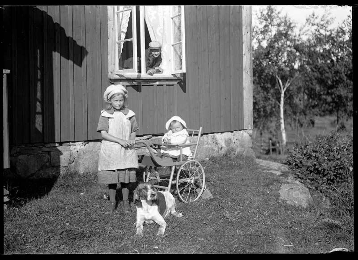 Olof Jonssons text: "Karlinders barn med hund, 1 juli 1909". 

Barnen är på besök hos Leander Anderssons familj på Torpängen. Ingeborg Margareta Karlinder Trollhättan 1901-04-23, Anna Lisa Karlinder Högbo 1896-06-25 och Lars Gustaf Karlinder Trollhättan 1908-06-05.