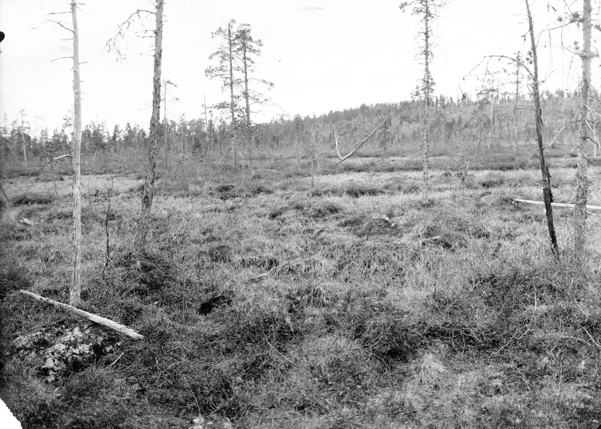 Biotop för Totanus fuscus, svartsnäppa, X= boplats                                     Sappisadsi, Lappland