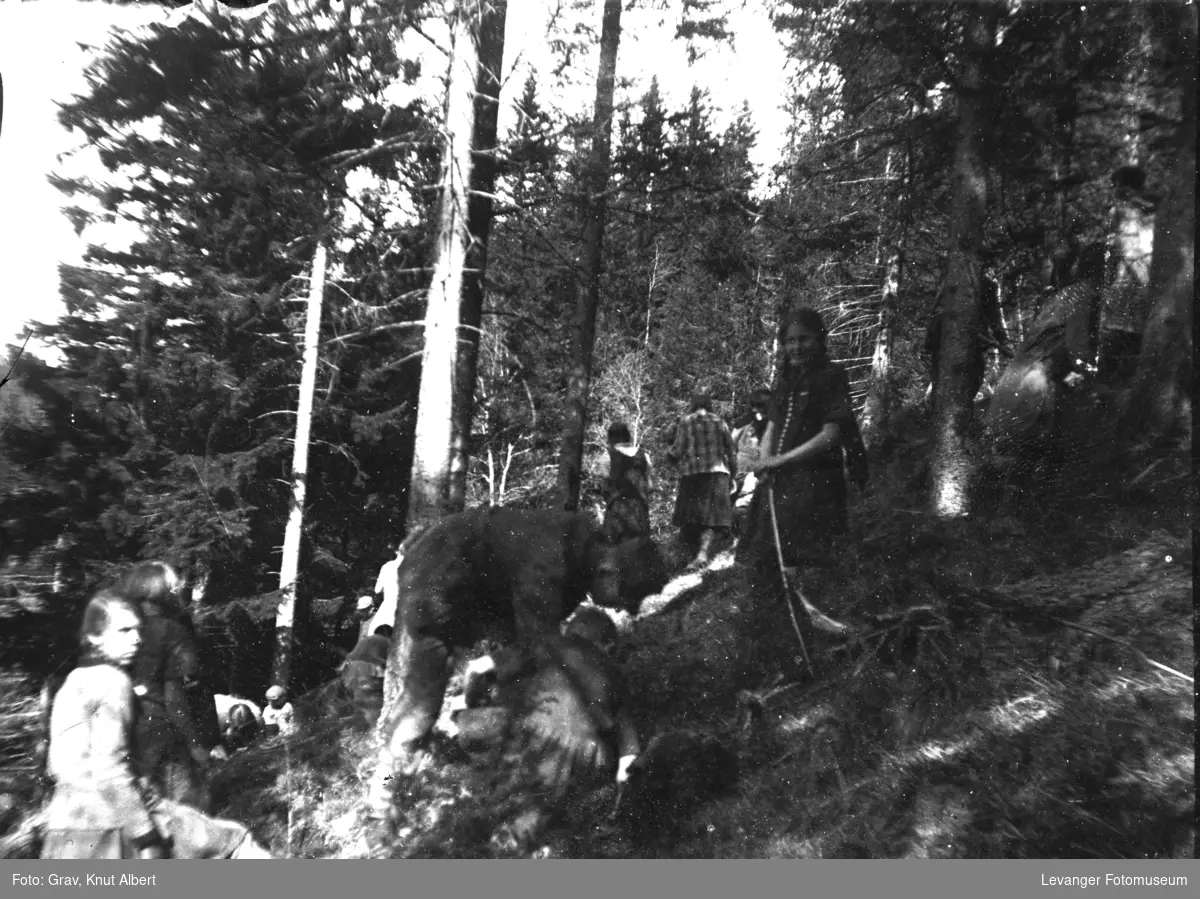 Skoleelever på skogplanting - Levanger Fotomuseum / DigitaltMuseum