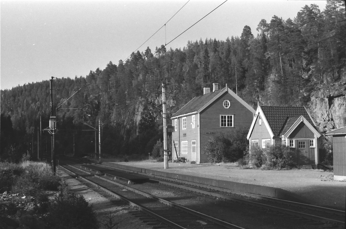 Valebø jernbanestasjon. Stasjonsbygning og uthus.