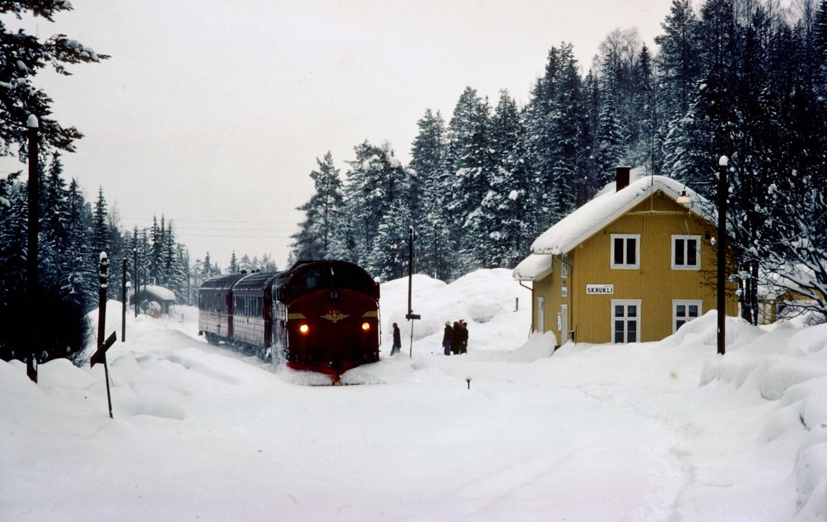 Persontog 284 Fagernes - Oslo Ø kjører inn på Skrukli stasjon.