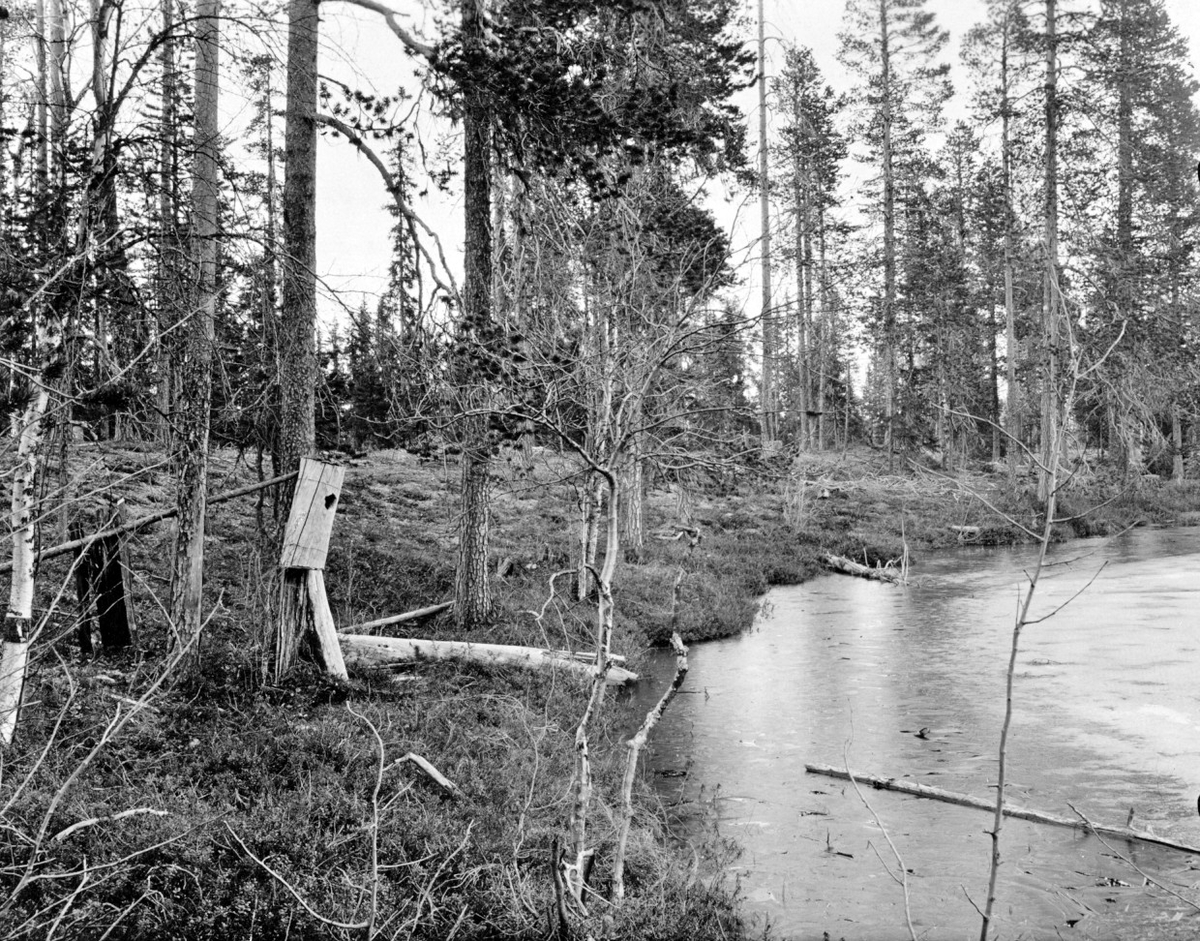 Knipholk i (?) 3 oruv. Ägg 21/5 1925. Knipholk vid stranden av ...