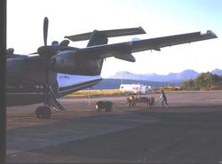 Lufthavn/flyplass. Narvik. Ett fly, LN-WFK, DHC-7-102/ Dash7