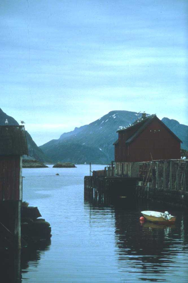 Landskap. Fiskevær i Lofoten. Måsene hviler ut på et gammelt bryggehus og venter spent på neste fiskebått

















































































































































































































































































































































































































































































































