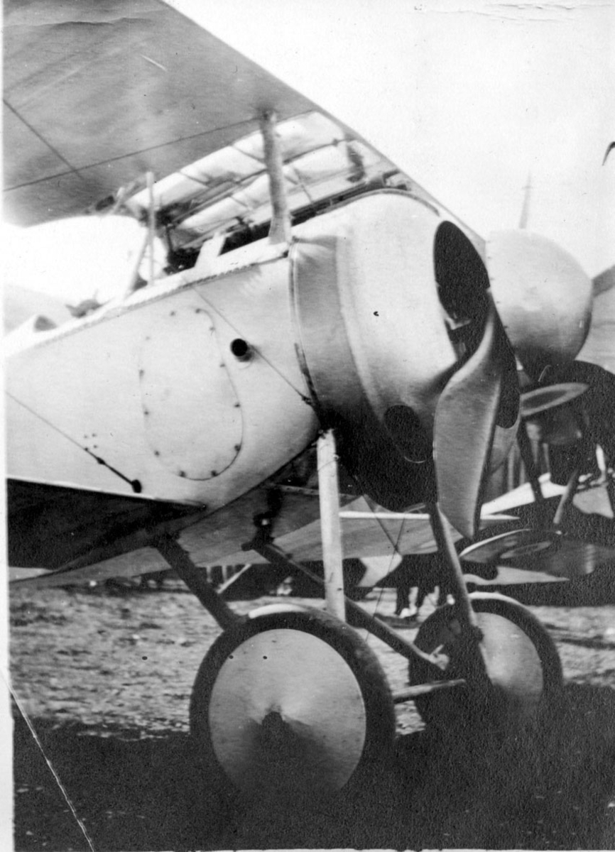 Fly, Nieuport 17C.1 (11C.1). Skrått forfra, forpartiet. Står på bakken. 