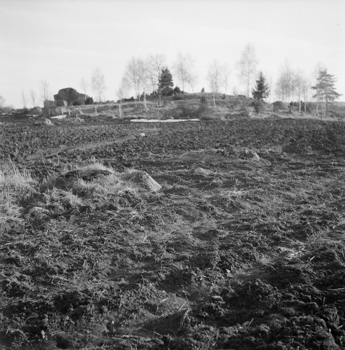 "Påskpromenaden", landskapsvy, Fittja socken, Uppland 1948