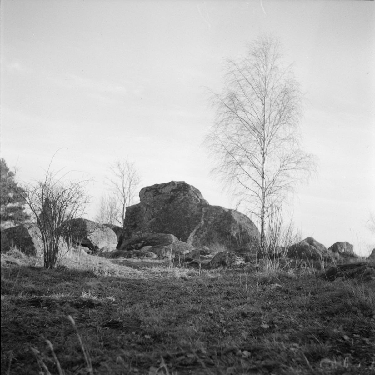 "Påskpromenaden", landskapsvy, Fittja socken, Uppland 1948