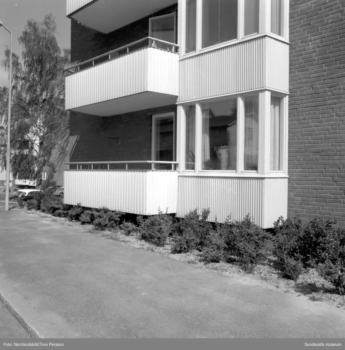 Exteriörbilder av flerfamiljshusen vid Albäcksgatan, fotograferat från Bergsgatan 32. EKO Livs.
