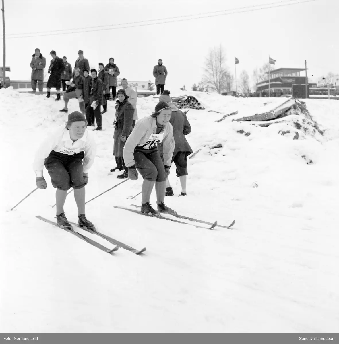 Skid-SM i Bergsåker, Sundsvall 1955. 10 km damer, segrare Sonja Edström ...