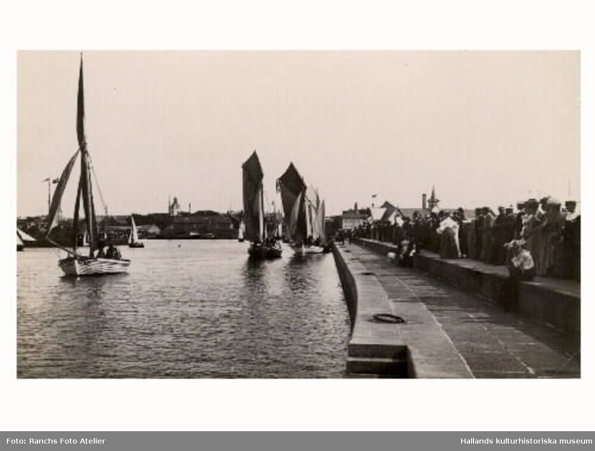 Vykort med Varbergs hamn som motiv. Kappsegling med fiskebåtar 1905. På kajen står en stor skara åskådare.