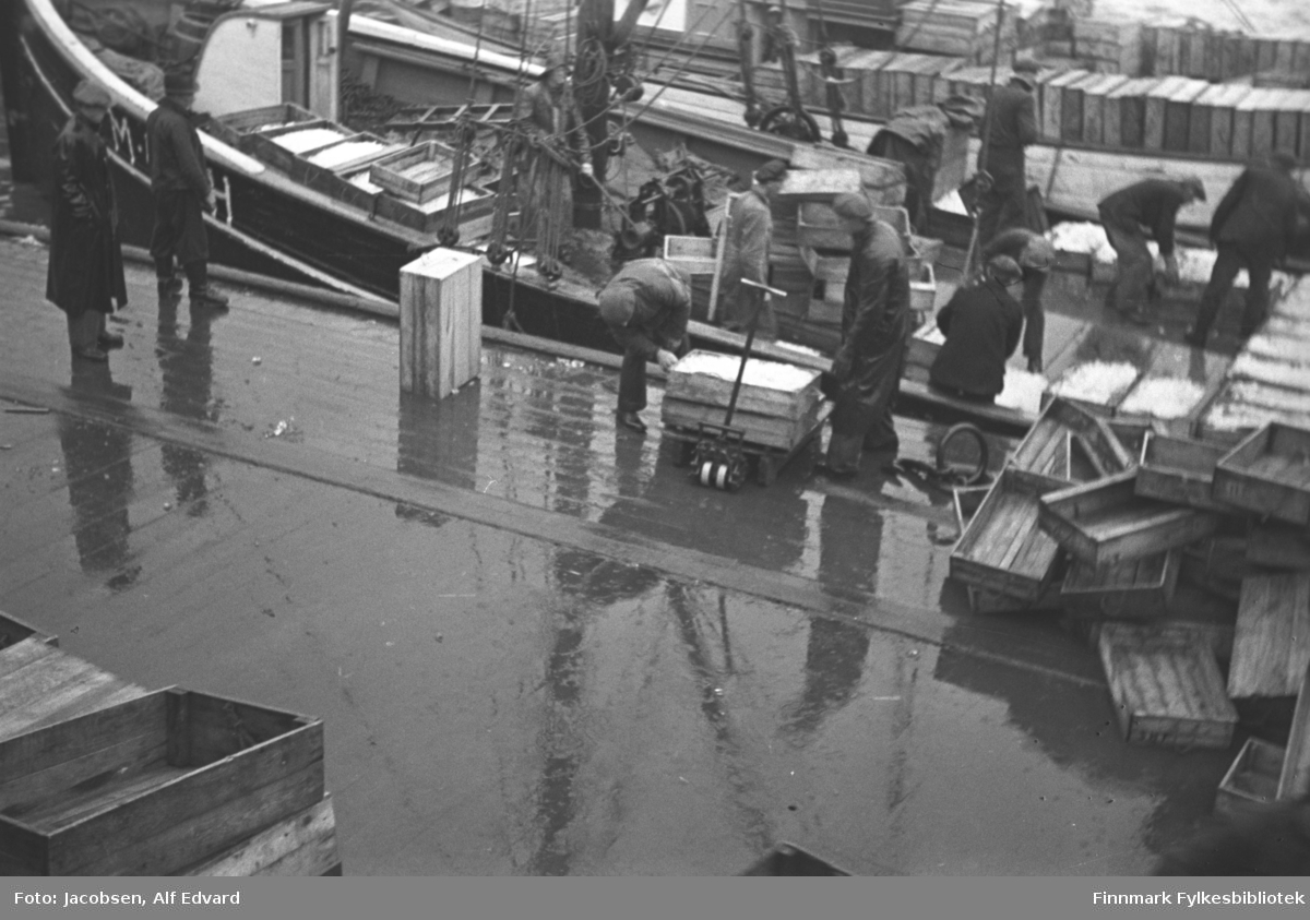 Flere båter ligger ved en kai, muligens utenfor fryselageret i Hammerfest. Tolv menn i ganske mørke klær, luer og regnjakker, er på kaia og på båtdekket. Mye fiskekasser av tre ligger rundt på området og i båtene. En stabel med tomme kasser til høyre og nede til venstre på bildet. Flere av kassene ombord i båten nærmest kaia ser ut til å inneholde is. To kasser står på kaia med en jekketralle under, også de full av is. Skuta nærmest har sortmalt skrog og en hvitmalt nedgang til lugarene i baugen. En tykk mast er montert på dekket og endel tauverk er festet i rekka på båten. Kaidekket ser ut til å være av betong og er ganske vått.