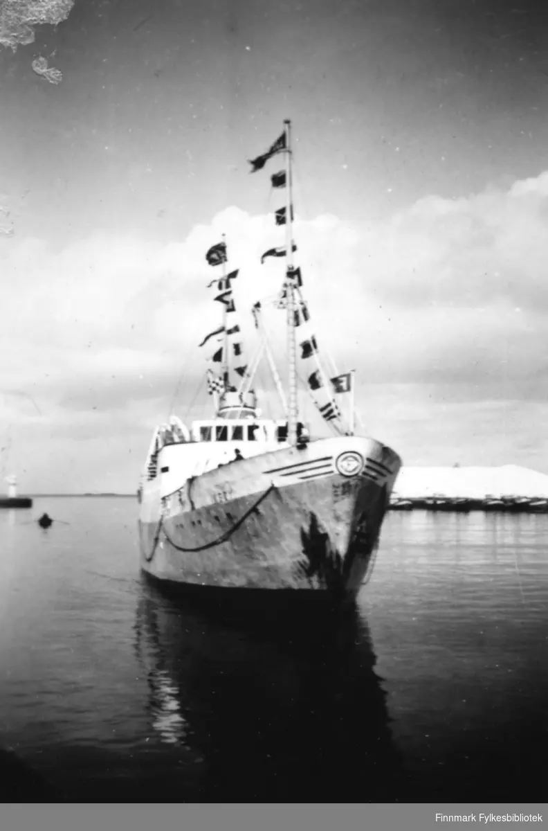 Det ser ut som det er FFR - Finnmark Fylkesrederi's MS "Ingøy" - nevnte skip og MS "Brynilen" var ganske like, såkalte søsterskip. Skimter et kort navn på styrbord skuteside.