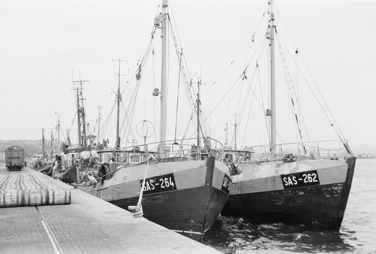 År 1966
Matbrist i DDR. Östtyska fiskebåtar kom till Bohuslän för att köpa sill.