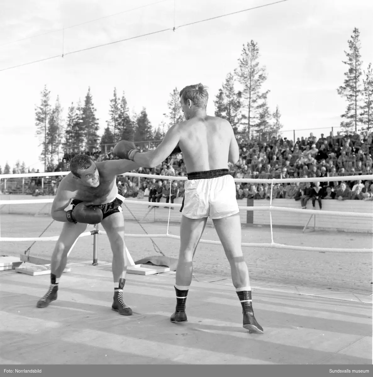 Nyblivna boxningsvärldsmästaren i tungvikt, Ingemar Johansson,  var huvudattraktion vid en boxningsgala på Timrå idrottsplats. Johansson hälsades välkommen av disponent Orvar Rydin och det bjöds bland annat på en uppvisningsmatch mellan "Ingo" och hans lillebror Rolf, en intervju av Sundsvalls boxningpappa Gillis Eriksson och därefter köade autografjägarna för att få världsmästarens namnteckning i sina block.