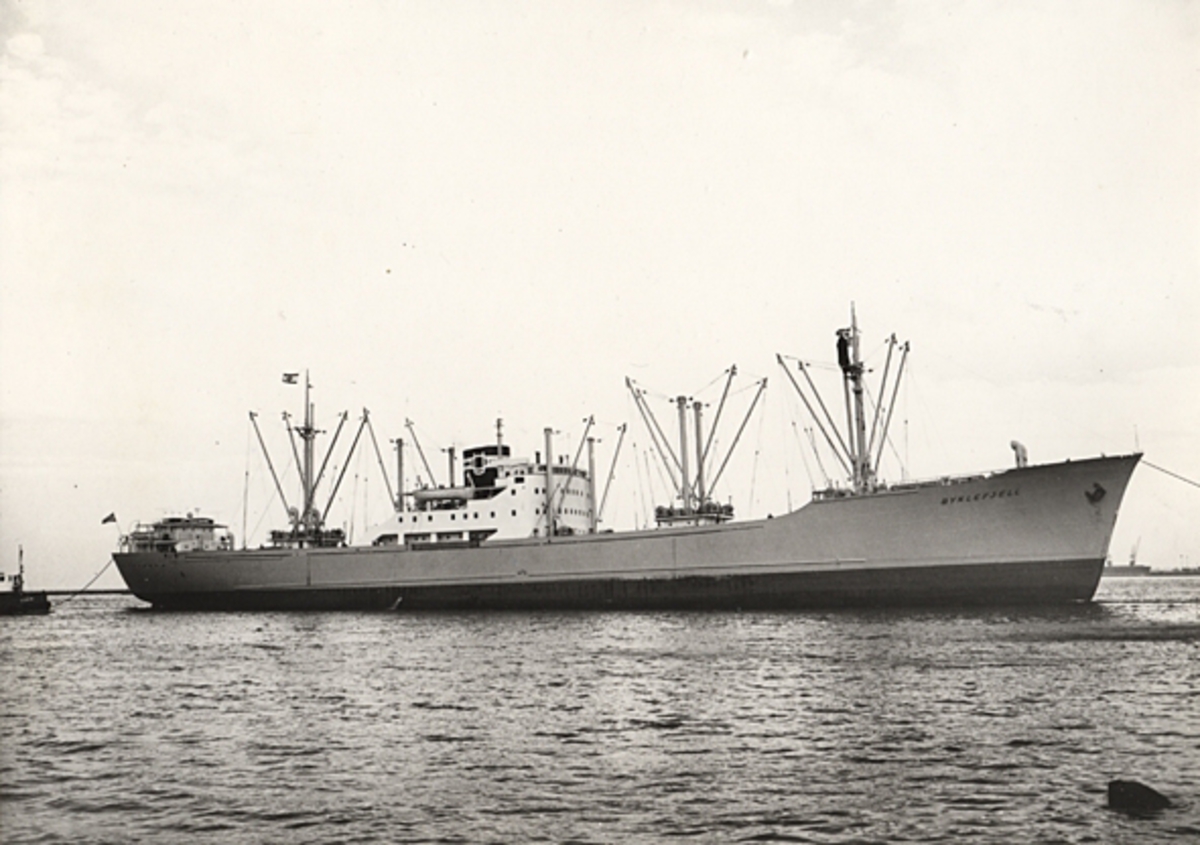 Lastmotorfartyget "BYKLEFJELL". Foto från Köpenhamn augusti månad 1962.