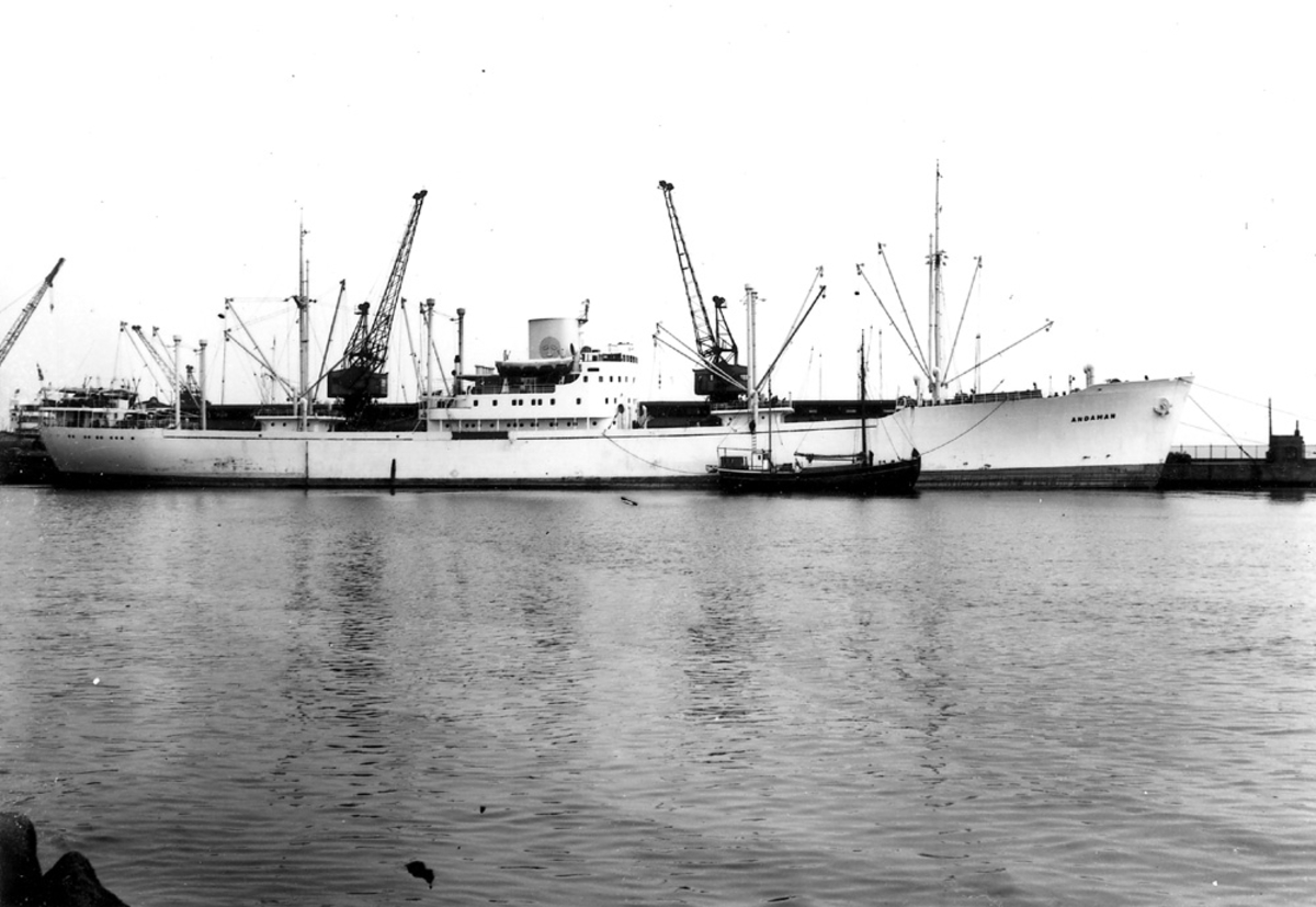Foto i svartvitt visande lastmotorfartyget "ANDAMAN" vid kaj i Köpenhamn.