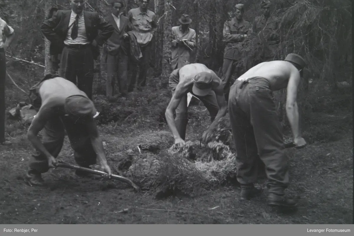 Åpning av graver i krigsfangeleiren på Falstad, Falstadskogen.