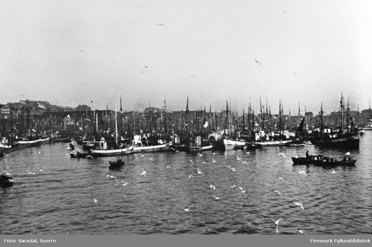 Bildet av Vardø havn i 1936. Det ligger fiskebåter ved kai og det er masse måser . Noen menn ror småbåter.