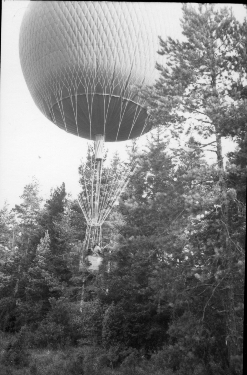Kulballong m/1930, A 6. Landning i trädkrona.