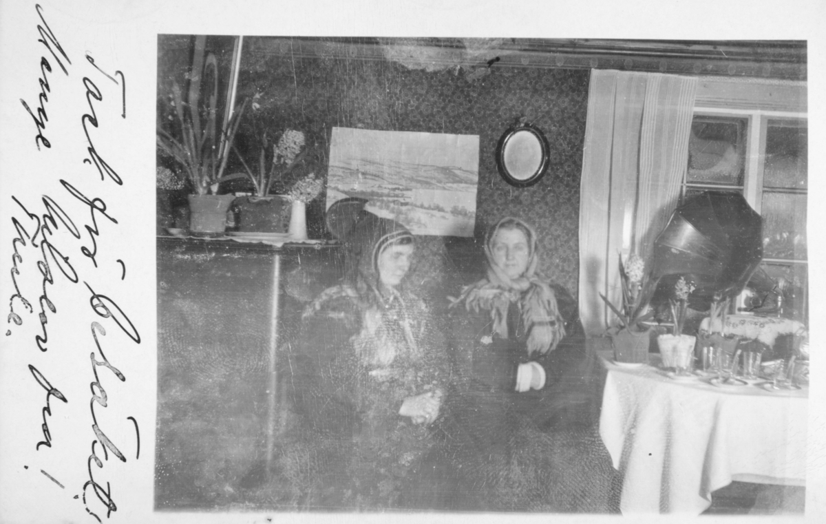 Et flott interiørbilde fra Inari. To kvinner sitter rund kaffebordet i stua. Bak bordet ses vindusruter dekket med tykt lag is. På bordet hyasinter og andre potteplanter, samt en grammofon.  Kvinnen sittende til venstre er Gjertrud Gunnari og til høyre Magdalena Evanger, begge fra Bugøynes. Turen til Inari fra Bugøynes blev foretatt om vinteren med rein og pulk.