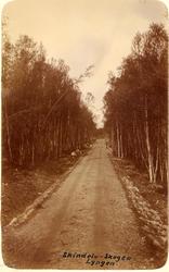 "Skindelv-Skogen Lyngen"