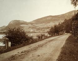 Veg langs Lågen ved Fåvang gjennom Gudbrandsdalen ca 1850-18