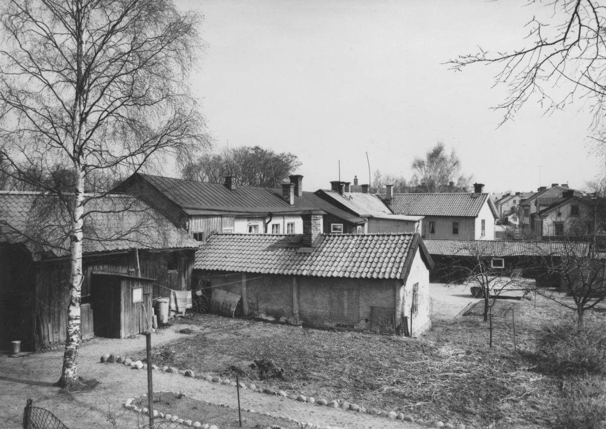 Enköping, Munksundet, kvarteret Munken, mot norr från klosterruinen